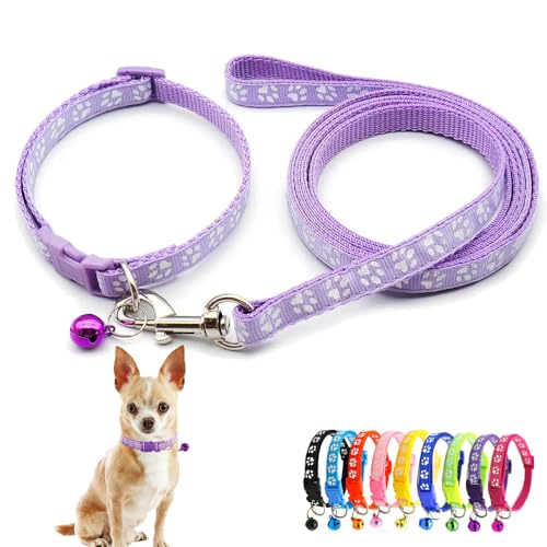 Hundehalsband mit Glöckchen-Leine, Katzenhalsband, Welpenhalsband, Nylon, weich, verstellbare Schnalle, für XXS, XS, klein, für Jungen, Mädchen, Haustiere, weiblich, Kätzchen, Yorkie, Teetasse von Weimostar