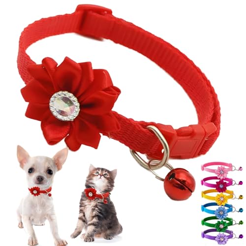Hundehalsband mit Glöckchen und Blumen, XS, Kätzchen-Halsband mit Glöckchen, für Blumenmädchen, Welpen, niedlich, verstellbar, für XS, extra kleine Hündinnen, kleine Haustiere, kleine Katzen, Yorkie, Hundehalsband mit Glöckchen und Blumen, XS, Kätzchen-Halsband mit Glöckchen, für Blumenmädchen, Welpen, niedlich, verstellbar, für XS, extra kleine Hündinnen, kleine Haustiere, kleine Katzen, Yorkie, von Weimostar