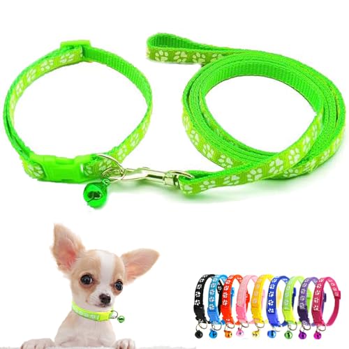 Kätzchenhalsband mit Glöckchen-Leine, Hundehalsband mit Glöckchen, Nylon, weich, verstellbare Schnalle, für XXS, XS, klein, Jungen, Mädchen, Haustiere, weibliche Welpen, Katzen, Yorkie, Chihuahua von Weimostar