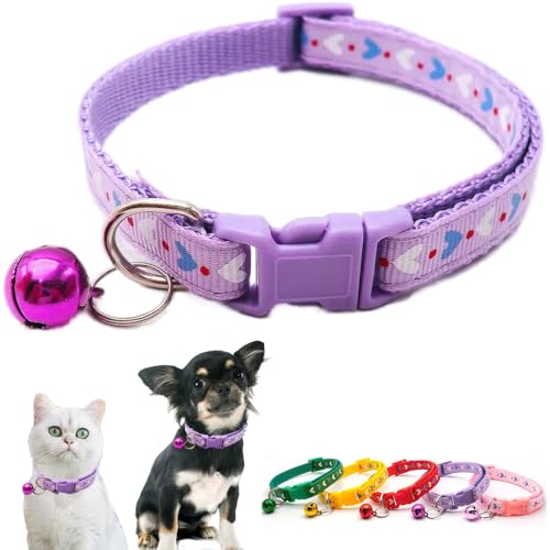 Katzenhalsband mit Glöckchen, XS, niedlich, weich, verstellbare Schnalle, für XXS, XS, XS, XS, XS, kleine Welpen, Hunde, Haustier, weiblich, männlich, Junge, Kätzchen, Yorkie, Chihuahua, Größe XS Katzenhalsband mit Glöckchen, XS, niedlich, weich, verstellbare Schnalle, für XXS, XS, XS, XS, XS, kleine Welpen, Hunde, Haustier, weiblich, männlich, Junge, Kätzchen, Yorkie, Chihuahua, Größe XS von Weimostar