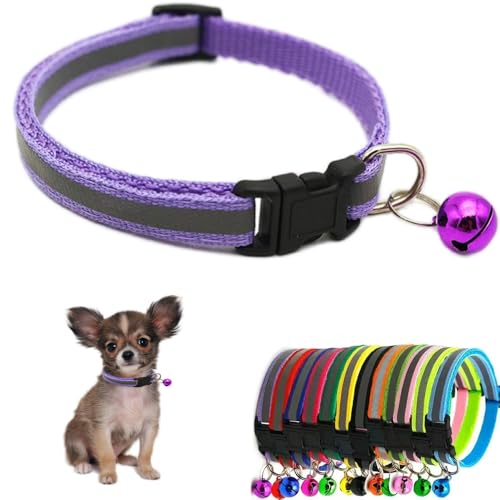 Katzenhalsband mit Glöckchen, reflektierend, XS, weich, verstellbare Schnalle, für XXS, XS, extra kleine Hunde, kleine Welpen, Haustiere, Jungen, Mädchen, weiblich, männlich, Kätzchen, Teetasse Katzenhalsband mit Glöckchen, reflektierend, XS, weich, verstellbare Schnalle, für XXS, XS, extra kleine Hunde, kleine Welpen, Haustiere, Jungen, Mädchen, weiblich, männlich, Kätzchen, Teetasse von Weimostar