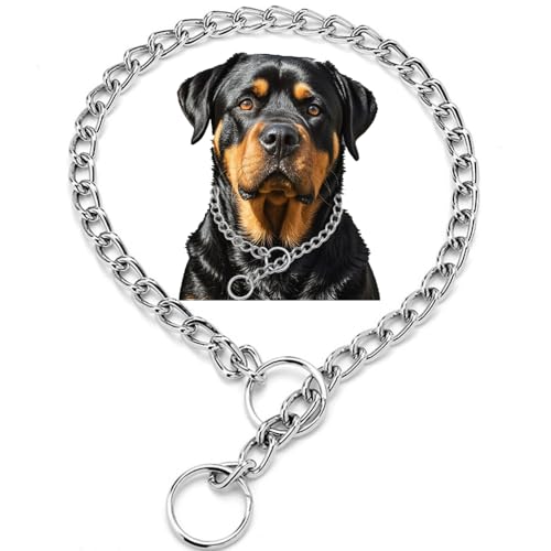 Kette für große Hunde, robustes Martingale-Halsband, Training, langlebiges Metall, P-Link, Welpenkette für XXS, XS, kleine, mittelgroße Hunde, Silber, XL von Weimostar