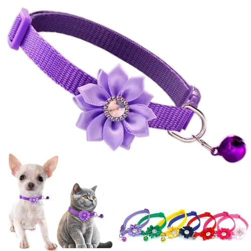Lila Glockenhalsband für kleine Hunde mit Blume, Katzenhalsbänder mit Glocke und Blumenmädchen-Welpenhalsband, niedlich, verstellbar, für XXS, XS, extra kleine Hündinnen, kleine Haustiere, kleine Lila Glockenhalsband für kleine Hunde mit Blume, Katzenhalsbänder mit Glocke und Blumenmädchen-Welpenhalsband, niedlich, verstellbar, für XXS, XS, extra kleine Hündinnen, kleine Haustiere, kleine von Weimostar