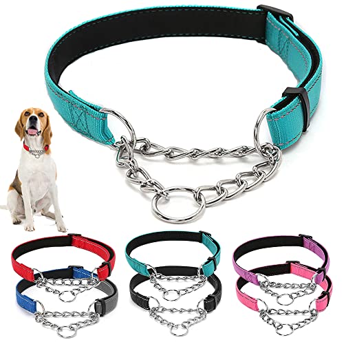 Martingale Hundehalsband, breit, 2,5 cm, reflektierendes Nylon mit Edelstahlkette, Welpenhalsbänder, bequem, weich gepolstert, verstellbar, Training für kleine Haustiere, Blaugrün, S Martingale Hundehalsband, breit, 2,5 cm, reflektierendes Nylon mit Edelstahlkette, Welpenhalsbänder, bequem, weich gepolstert, verstellbar, Training für kleine Haustiere, Blaugrün, S von Weimostar