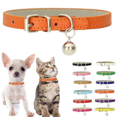 Orange XXS Kätzchenhalsband mit Glöckchen, weiches PU-Leder, Hundehalsband, verstellbare Schnalle, für XS, XS, M, klein, für Damen, Herren, Jungen, Mädchen, Haustiere, Katzen, Welpen, Teetasse, Orange XXS Kätzchenhalsband mit Glöckchen, weiches PU-Leder, Hundehalsband, verstellbare Schnalle, für XS, XS, M, klein, für Damen, Herren, Jungen, Mädchen, Haustiere, Katzen, Welpen, Teetasse, von Weimostar