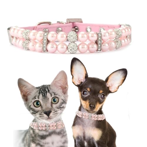 Perlen-Hundehalsband für kleine Hunde, glitzernde Strass-Katzen-Halskette, niedliches Kristall-Welpenhalsband für kleine, mittelgroße Hündinnen, Mädchen, Kätzchen, Diamant-Haustier-Juwel für Hochzeit Perlen-Hundehalsband für kleine Hunde, glitzernde Strass-Katzen-Halskette, niedliches Kristall-Welpenhalsband für kleine, mittelgroße Hündinnen, Mädchen, Kätzchen, Diamant-Haustier-Juwel für Hochzeit von Weimostar