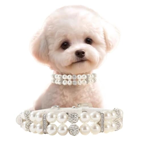 Perlen-Hundehalsband für kleine Hunde, glitzernde Strass-Katzen-Halskette, niedliches Kristall-Welpenhalsband für kleine, mittelgroße Hündinnen, Mädchen, Kätzchen, Diamant-Haustier-Juwel für Hochzeit Perlen-Hundehalsband für kleine Hunde, glitzernde Strass-Katzen-Halskette, niedliches Kristall-Welpenhalsband für kleine, mittelgroße Hündinnen, Mädchen, Kätzchen, Diamant-Haustier-Juwel für Hochzeit von Weimostar
