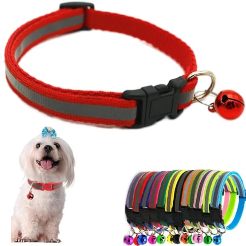 Rotes Welpenhalsband mit Glöckchen, reflektierend, für Mädchen, weiche, verstellbare Schnalle, für XXS, XS, XS, Welpen, weiblich, männlich, kleine Haustiere, Hunde, Jungen, Kätzchen, Yorkie, Teetasse Rotes Welpenhalsband mit Glöckchen, reflektierend, für Mädchen, weiche, verstellbare Schnalle, für XXS, XS, XS, Welpen, weiblich, männlich, kleine Haustiere, Hunde, Jungen, Kätzchen, Yorkie, Teetasse von Weimostar
