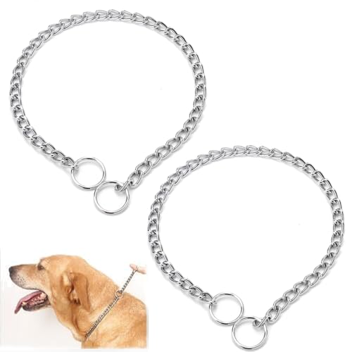 Silberfarbene Hundehalsbänder für kleine Hunde, 2 Stück, robustes Trainings-Halsband für Hunde, Metall, P-Link, Martingale-Halsbänder, Welpen-Würgekette für XXS, kleine, mittelgroße und große Hunde Silberfarbene Hundehalsbänder für kleine Hunde, 2 Stück, robustes Trainings-Halsband für Hunde, Metall, P-Link, Martingale-Halsbänder, Welpen-Würgekette für XXS, kleine, mittelgroße und große Hunde von Weimostar