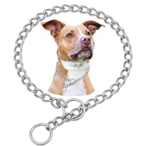 Silberfarbenes Hundehalsband mit Schlupfkette Edelstahl Hundehalsband mit Schlupfkette Metall Welpen für Hunderassen XXS XS S M L XL Silberfarbenes Hundehalsband mit Schlupfkette Edelstahl Hundehalsband mit Schlupfkette Metall Welpen für Hunderassen XXS XS S M L XL von Weimostar