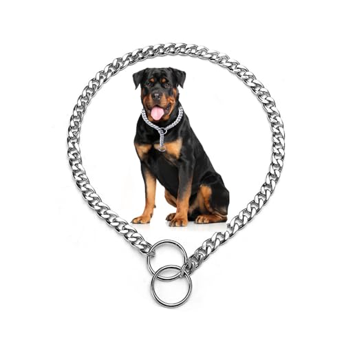 Silberkette für Hunde, Metall-Trainings-Slip-P-Link, Martingal-Halsbänder für XXS, XS, S, M, L, XL Silberkette für Hunde, Metall-Trainings-Slip-P-Link, Martingal-Halsbänder für XXS, XS, S, M, L, XL von Weimostar
