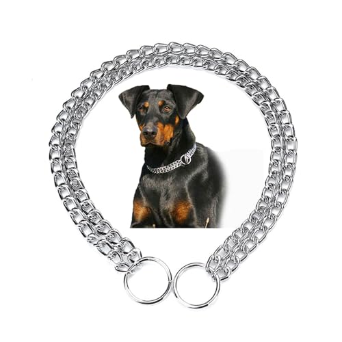 Silver Dog Chain Collars for Medium Dogs, Slip P Metal Link Training, Heavy Duty Double Row Martingale Collar for Small Medium Large Dogs, D2.0mm Silver Dog Chain Collars for Medium Dogs, Slip P Metal Link Training, Heavy Duty Double Row Martingale Collar for Small Medium Large Dogs, D2.0mm von Weimostar