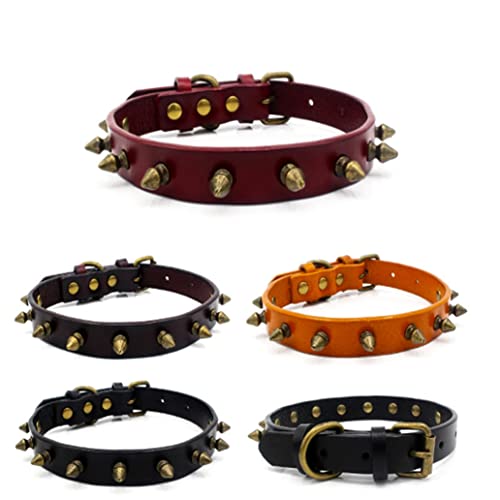 Hundehalsband für kleine Hunde, Rindsleder, Nieten, für Welpen, Katzen, Mädchen, weich, niedlich, Pilze, Niethalsband, verstellbar, für XS, M, L, Jungen, weiblich, männlich, Orange, S Hundehalsband für kleine Hunde, Rindsleder, Nieten, für Welpen, Katzen, Mädchen, weich, niedlich, Pilze, Niethalsband, verstellbar, für XS, M, L, Jungen, weiblich, männlich, Orange, S von Weimostar