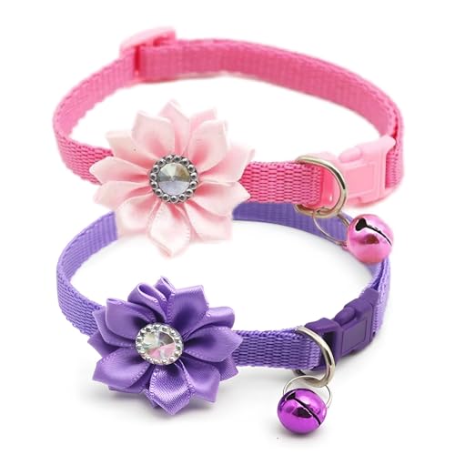 Welpenhalsband mit Glocke und Blume, 2 Stück, XS, Hundehalsbänder mit Glocke und Blumenmuster, niedlich, für XXS, XS, extra kleine Hündinnen, Katzen, kleine Haustiere, kleines Kätzchen, Yorkie Welpenhalsband mit Glocke und Blume, 2 Stück, XS, Hundehalsbänder mit Glocke und Blumenmuster, niedlich, für XXS, XS, extra kleine Hündinnen, Katzen, kleine Haustiere, kleines Kätzchen, Yorkie von Weimostar