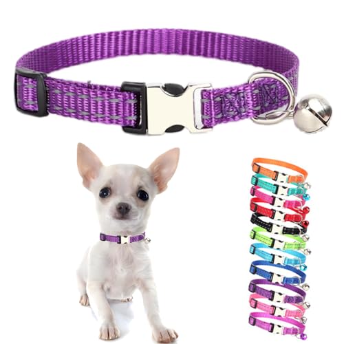 Welpenhalsband mit Glöckchen, reflektierendes Nylon, XS, Katzenhalsband, weich, verstellbare Schnalle, für XS, kleine Welpen, weibliche kleine Haustiere, Hunde, Jungen, Mädchen, Kätzchen, Yorkie, Welpenhalsband mit Glöckchen, reflektierendes Nylon, XS, Katzenhalsband, weich, verstellbare Schnalle, für XS, kleine Welpen, weibliche kleine Haustiere, Hunde, Jungen, Mädchen, Kätzchen, Yorkie, von Weimostar