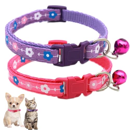 XS Hundehalsband mit Glöckchen, 2 Stück, für Welpen, niedlich, weich, verstellbar, für XXS, XS, XS, XS, kleine Katzen, Haustiere, weiblich, Kätzchen, Chihuahua, Yorkie, Rosenrot und Violett XS Hundehalsband mit Glöckchen, 2 Stück, für Welpen, niedlich, weich, verstellbar, für XXS, XS, XS, XS, kleine Katzen, Haustiere, weiblich, Kätzchen, Chihuahua, Yorkie, Rosenrot und Violett von Weimostar