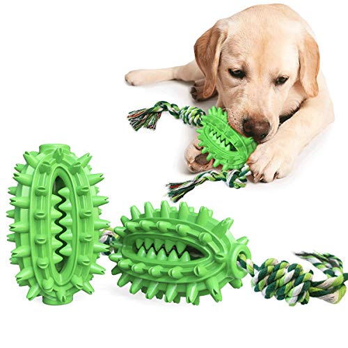 Weiqiao® Kauspielzeug Zahnbürste für Hunde, Interaktiver Stab mit Reinigung der Zahnhygiene, Geschenk für Hunde Welpen (grün) von Weiqiao