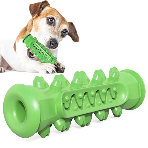 Weiqiao® Kauspielzeug für Hunde, Zahnbürste, interaktiv, Reinigung der Zahnhygiene, Geschenk für Tierliebhaber für Hunde Welpen (grün) von Weiqiao