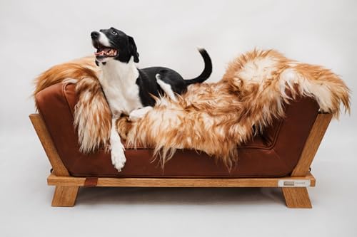 WeirdChairs Elite Oak Pawsidence Hundebett, luxuriös, handgefertigt WeirdChairs Elite Oak Pawsidence Hundebett, luxuriös, handgefertigt von WeirdChairs