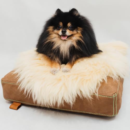 WeirdChairs Luxuriöses, handgefertigtes Hundebett – Goldene Komfort-Hundesofa von WeirdChairs