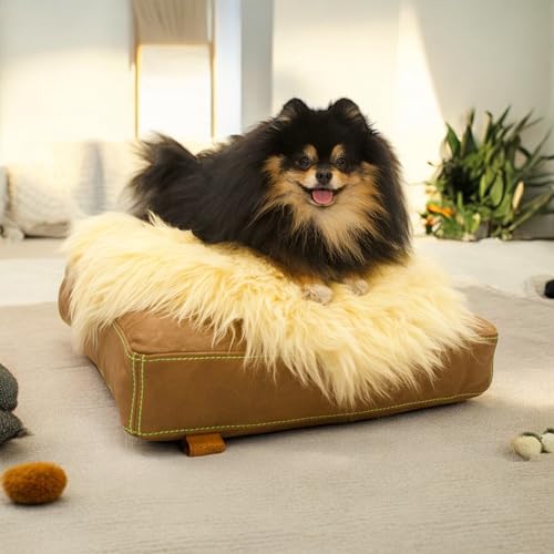 WeirdChairs Luxuriöses, handgefertigtes Hundebett – Goldene Komfort-Hundesofa von WeirdChairs