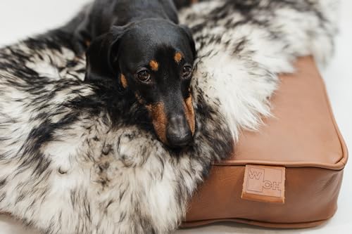 WeirdChairs Luxuriöses, handgefertigtes Hundebett – Sable Luxe Hundeliege von WeirdChairs