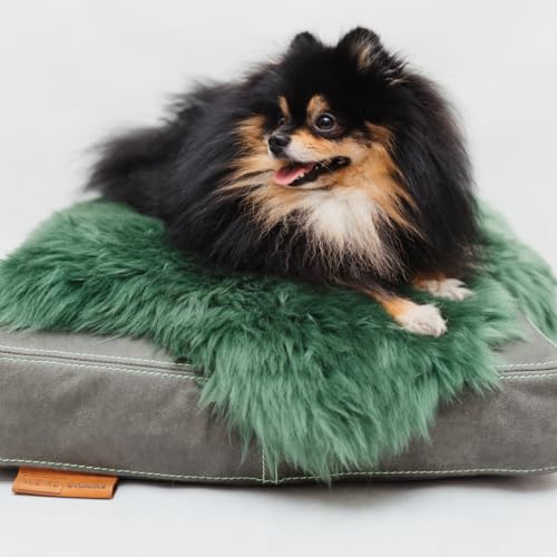 WeirdChairs Luxuriöses, handgefertigtes Hundebett – Smaragd Haven Pooch Kissen von WeirdChairs