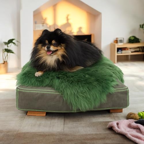 WeirdChairs Luxuriöses, handgefertigtes Hundebett – Smaragd Haven Pooch Kissen von WeirdChairs