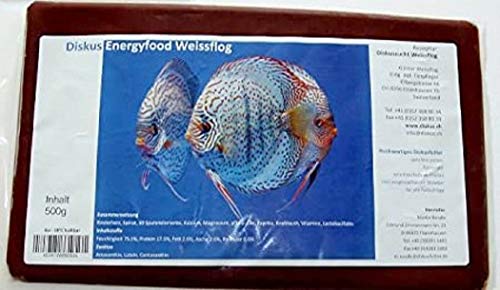 Weissflog Frostfutter Sparpaket 10 x Rendle`s Diskus Energyfood Rinderherz 500g Flachtafeln Frost Futter Weissflog Frostfutter Sparpaket 10 x Rendle`s Diskus Energyfood Rinderherz 500g Flachtafeln Frost Futter von Weissflog