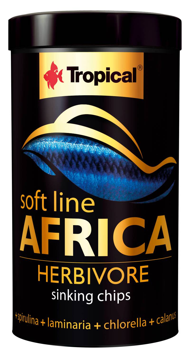 Soft Line Africa Herbivore von Weiteres