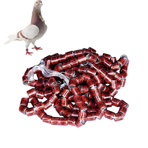 100 Stück Taubenringe Vogel Taube Bänder Taubenfußringe Wachtelringe Hühnerringe Tauben Fußringe Bein Bänder Wachteln Hähnchen Beinringe Identifizierung Ring Geflügel Band Klemmringe Zum Markierung 100 Stück Taubenringe Vogel Taube Bänder Taubenfußringe Wachtelringe Hühnerringe Tauben Fußringe Bein Bänder Wachteln Hähnchen Beinringe Identifizierung Ring Geflügel Band Klemmringe Zum Markierung von Weldphur