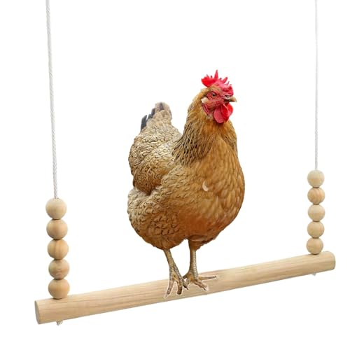 Weldphur Hühnervogel-Schaukel – natürliches Hühnerspielzeug, sichere, stabile, interaktive Sitzstange zum Klettern, Ruhen, Geflügel, Hähne, Hinterhof, Bauernhof Weldphur Hühnervogel-Schaukel – natürliches Hühnerspielzeug, sichere, stabile, interaktive Sitzstange zum Klettern, Ruhen, Geflügel, Hähne, Hinterhof, Bauernhof von Weldphur