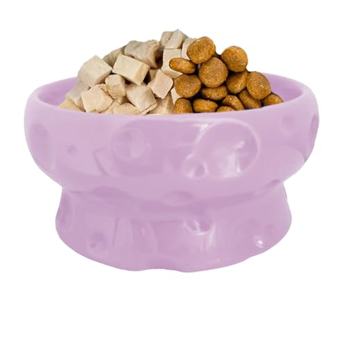 Weldphur Katzennapf - Kompakter Futter- & Wassernapf,Keramik-Käseform mit Erhöhung & Rutschfester Basis für Haustiere, Kätzchen & Hunde – für Trocken- & Nassfutter im Haushalt Weldphur Katzennapf - Kompakter Futter- & Wassernapf,Keramik-Käseform mit Erhöhung & Rutschfester Basis für Haustiere, Kätzchen & Hunde – für Trocken- & Nassfutter im Haushalt von Weldphur
