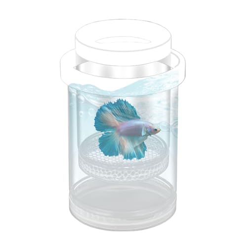 Weldphur Schwimmende Fischzucht-Isolationsbox | Klare Fisch-Inkubationsbox – Clear Guppy Hatchery Inkubator, Aquarium Inkubationsbehälter für Betta von Weldphur