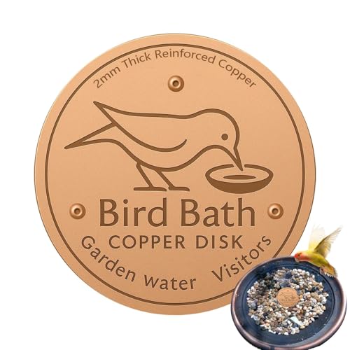 Weldphur Vogeltränken-Scheibe – Metallreiniger-Scheiben, Feeder-Zubehör, Dreipunktunterstützung, Reinigerplatte für Terrasse, Springbrunnen, Garten, Schüssel, Rasen, Ganzjahreszeit von Weldphur