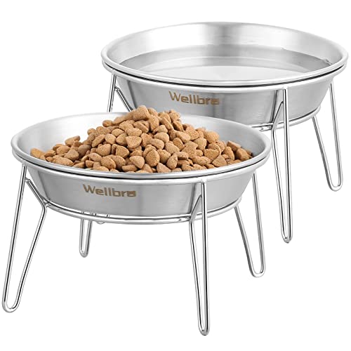 Wellbro Erhöhte Katzennäpfe, breite Edelstahl-Katzenfutterschalen mit Metallständer, Schnurrhaar, stressfrei, erhöhtes Futter und Wassernapf für Katzen, Kätzchen, Welpen und kleine Hunde, 2 Stück Wellbro Erhöhte Katzennäpfe, breite Edelstahl-Katzenfutterschalen mit Metallständer, Schnurrhaar, stressfrei, erhöhtes Futter und Wassernapf für Katzen, Kätzchen, Welpen und kleine Hunde, 2 Stück von Wellbro