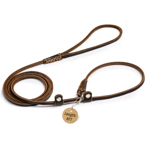 Wellbro Hundeleine aus echtem Leder, superdünne und verstellbare Retrieverleine, weich und schlank, geeignet für Welpen und kleine Hunde, 1,8 m lang und 0,4 cm breit, Braun von Wellbro