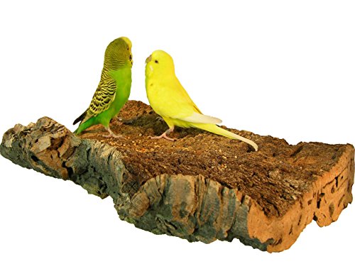 Korksitzbrett für Vögel - Größe S, M, L, XL, XXL - 100% Bio Vogelkäfig Zubehör - natürliches Kork Sitzbrett für Wellensittiche, Nymphensittiche, Papageien und Co. (XXL (34 x 17 cm)) von Wellensittich Spielzeug
