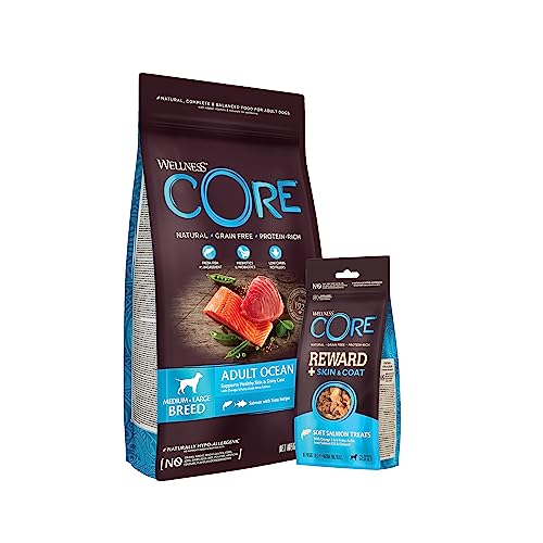 Wellness CORE Hundefutter Probierpaket, Trockenfutter (1,8 Kg, Lachs & Thunfisch) + Leckerlis (170 g, Lachs), für glänzende Haut & Fell, getreidefrei, hoher Fleischanteil von Wellness CORE