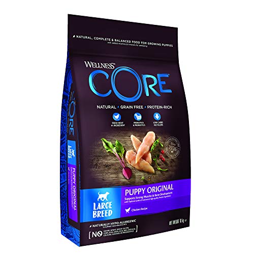 Wellness CORE Large Breed Puppy Original, Welpenfutter Trockenfutter für große Welpen, Huhn, 10 kg, ohne Zuckerzusatz, getreidefrei, mit hohem Fleischanteil von Wellness CORE