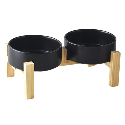 Welloyed Erhöhtes Keramik-Hundenapf-Set – Erhöhter Hundenapf mit rutschfestem Bambus-Ständer, Futter- und Wassernapf-Set für Kätzchen, Katzen und Spielzeuge, Haustiernäpfe, gewichtete Hundeschüssel von Welloyed
