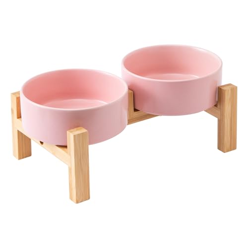 Welloyed Erhöhtes Keramik-Hundenapf-Set – Erhöhter Hundenapf mit rutschfestem Bambus-Ständer, Futter- und Wassernapf-Set für Kätzchen, Katzen und Spielzeuge, Haustiernäpfe, gewichtete Hundeschalen (13 von Welloyed