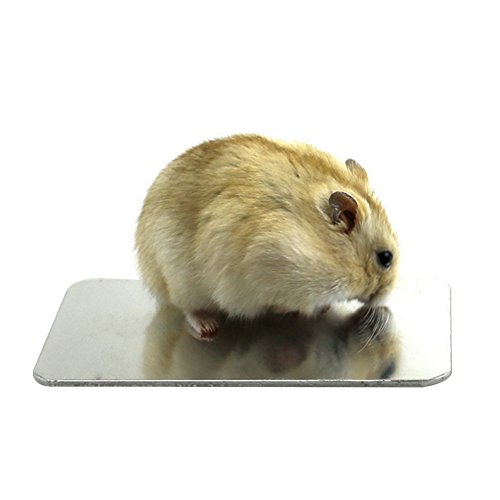Welltobuy Hamster Aluminium Kühlkörper Platte Cool Ice Bett Kaninchen großformatiges Pet Kühlung Teller S M L von Welltobuy