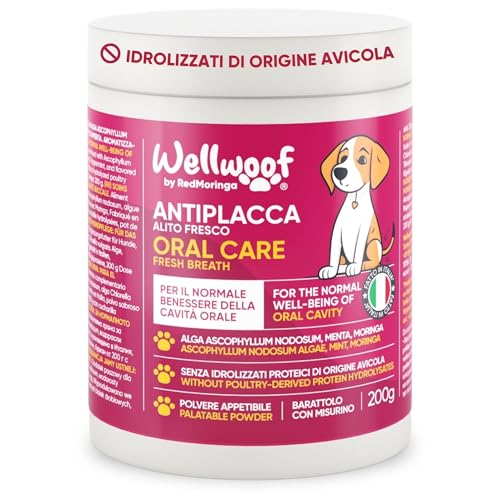 Zahnreinigung Ergänzung für Hunde | Natürliche Pulverformel gegen Zahnstein | Mit Ascophyllum nodosum (75%), Moringa & Pfefferminze | Ohne künstliche Zusatzstoffe | 200g – WELLFOOF von Wellwoof