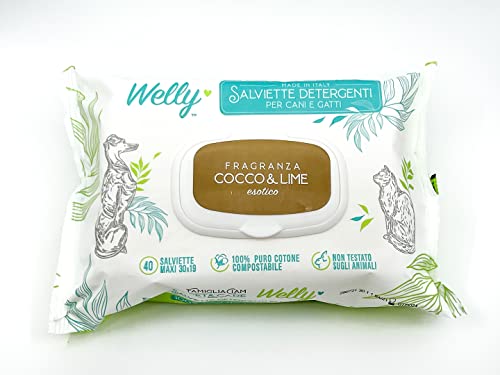 Welly Reinigungstücher für Kokosnuss und Limette, exotisch, für Hunde und Katzen, 40 Stück von Welly