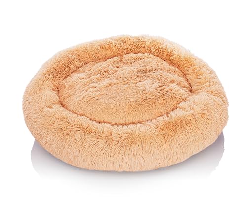 Weltbild Hundeund Katzenbett Flauschiges Hundebett Rund & Kuscheliges Katzenbett Beige, Ø 100 cm Weltbild Hundeund Katzenbett Flauschiges Hundebett Rund & Kuscheliges Katzenbett Beige, Ø 100 cm von Weltbild
