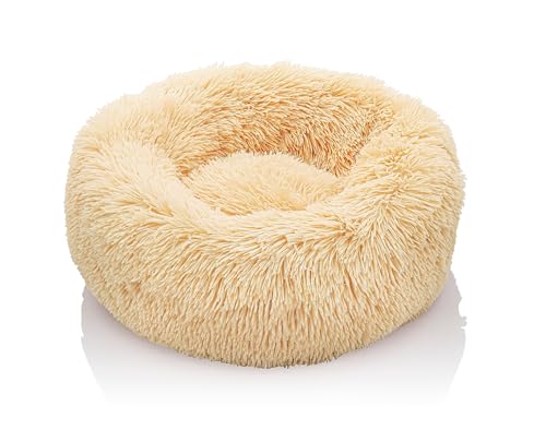 Weltbild Hundeund KatzenbettFlauschiges und weiches Hunde& Katzenbett, 50 cm beige, für mittelgroße & kleine Tiere, rundes Design Weltbild Hundeund KatzenbettFlauschiges und weiches Hunde& Katzenbett, 50 cm beige, für mittelgroße & kleine Tiere, rundes Design von Weltbild