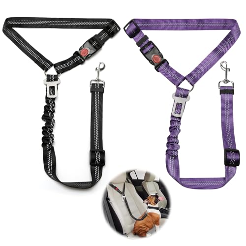2 Stück Verstellbarer Hundegurt fürs Auto, Sicherheitsgurt Hunde mit Ruckdämpfer Elastisch, Hunde Sicherheitsgurt Auto für Kleine Mittelgroße große Hunde und Alle Autotypen, Schwarz + Violett von Weniubit