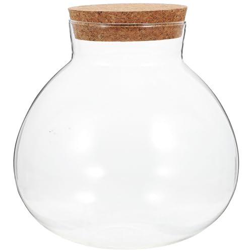 Wensmy Glasflasche Hydrokultur-Terrarium-Behälter – runde Sukkulentenvase mit Deckel für Luftpflanzen von Wensmy