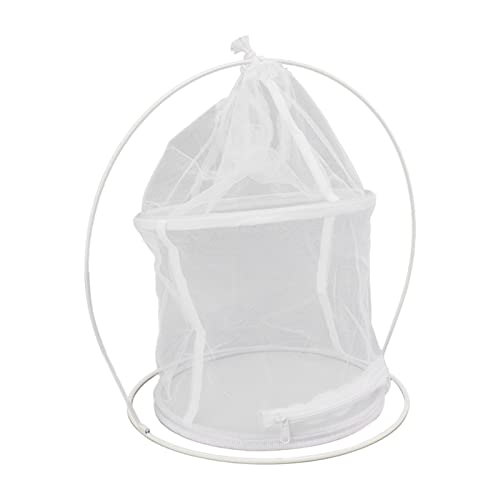 Hängender Pflanzenhalter, zylindrischer Eisenrahmen Hängender Käfig Ornamental, Outdoor Mesh Pflanzkäfig Hängender Pflanzenhalter, zylindrischer Eisenrahmen Hängender Käfig Ornamental, Outdoor Mesh Pflanzkäfig von Wenxishangmao